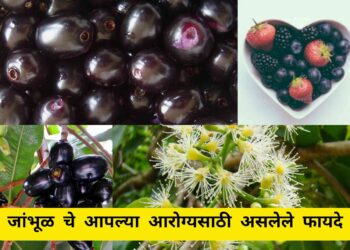 जांभूळ चे हे फायदे तुम्हला माहिती  नसेल तर जाणून घ्या | Benefits of  blackberry in marathi